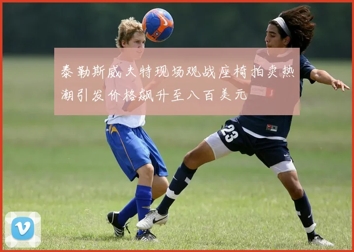 泰勒斯威夫特现场观战座椅拍卖热潮引发价格飙升至八百美元