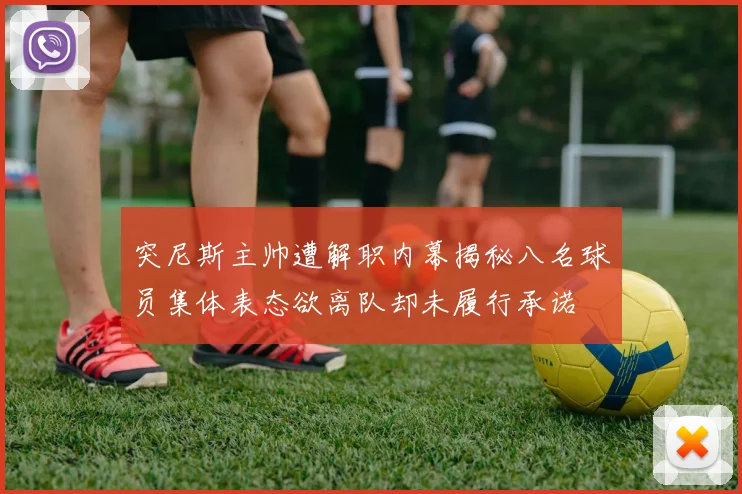 突尼斯主帅遭解职内幕揭秘八名球员集体表态欲离队却未履行承诺