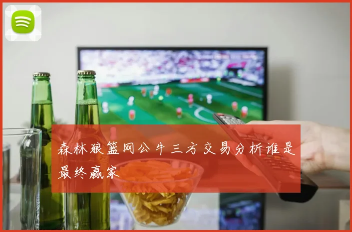森林狼篮网公牛三方交易分析谁是最终赢家